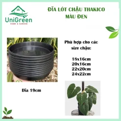Combo 5 đĩa] Đĩa lót chậu Thakico màu đen, Nhựa cứng bền
