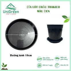 Combo 5 đĩa] Đĩa lót chậu Thakico màu đen, Nhựa cứng bền