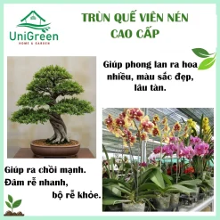 [Combo 5 Túi] Phân Trùn Quế Viên Cao Cấp, Túi 1Kg, Dinh Dưỡng Cho Lan, Bonsai Và Kiểng Lá -