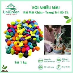 [Túi 5kg] Sỏi Nhiều Màu, Trang Trí Bể Cá - Chậu Cây