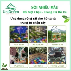 [Túi 5kg] Sỏi Nhiều Màu, Trang Trí Bể Cá - Chậu Cây
