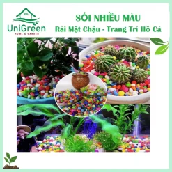 [Túi 5kg] Sỏi Nhiều Màu, Trang Trí Bể Cá - Chậu Cây