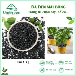 [Túi 5kg] Sỏi Đen Bóng Cao Cấp, Sỏi Trang Trí Hồ Cá, Trải Sân Vườn, Chậu Cây