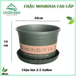 Chậu Nhựa Trồng Cây Monrovia Cao Cấp