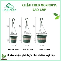 [Combo 3] Chậu Nhựa Treo Trồng Cây Monrovia Cao Cấp