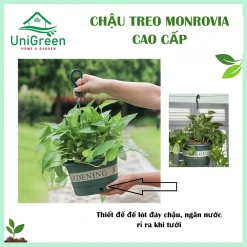 [Combo 3] Chậu Nhựa Treo Trồng Cây Monrovia Cao Cấp