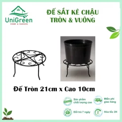 Đế Sắt Kê Chậu Cây, Sơn Tĩnh Điện, Tròn & Vuông