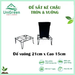 Đế Sắt Kê Chậu Cây, Sơn Tĩnh Điện, Tròn & Vuông
