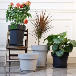 CHẬU NHỰA ĐEN TRỒNG CÂY TRÒN 25CM CAO CẤP BỀN CỨNG