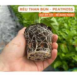 [Combo 3 Túi] Rêu Than Bùn Peatmoss 5 Lít