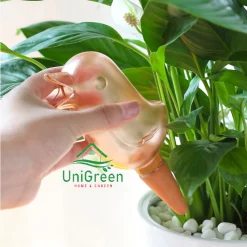 [Combo 5] Dụng Cụ Tưới Cây Nhỏ Giọt Tự Động Hình Con Chim Trong Suốt