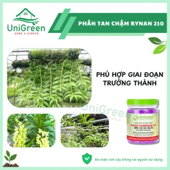 Phân Tan Chậm Unigreen Home&Garden, Rynan 210, Hũ 150gr, Chuyên Phong Lan (Giai đoạn trưởng thành)