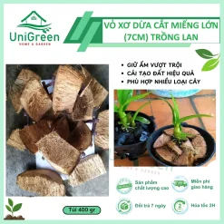 Vỏ Dừa Trồng Lan Cắt Miếng To (7cm)