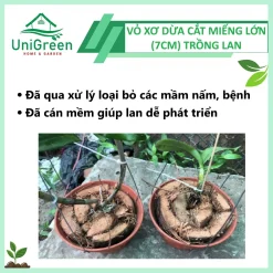 Vỏ Dừa Trồng Lan Cắt Miếng To (7cm) Vỏ Dừa Trồng Lan Cắt Miếng To (7cm)