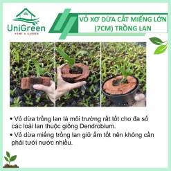 Vỏ Dừa Trồng Lan Cắt Miếng To (7cm) Vỏ Dừa Trồng Lan Cắt Miếng To (7cm)