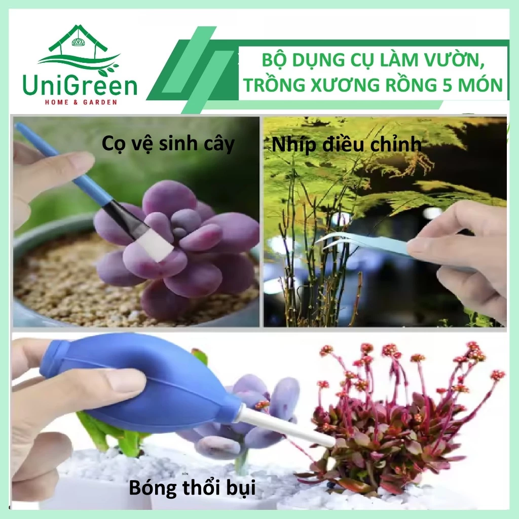 Bộ Dụng Cụ Làm Vườn Mini 5 Món Unigreen Home & Garden, Chuyên Trồng Sen Đá, Xương Rồng, Tiểu Cảnh Bộ Dụng Cụ Làm Vườn Mini 5 Món Unigreen Home & Garden, Chuyên Trồng Sen Đá, Xương Rồng, Tiểu Cảnh - Ảnh 2