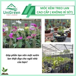 [Combo 10] Móc Kẽm Treo Chậu Lan, Chậu Cây Cảnh Cao Cấp