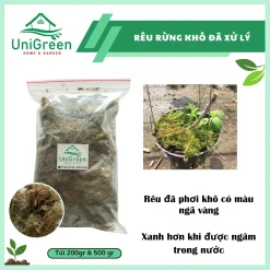 [Túi 500gr] Dớn Chile trắng - Rêu rừng khô đã xử lý - Chất lượng loại 1