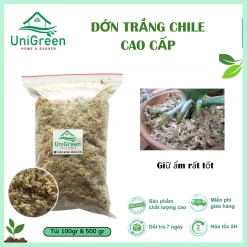 [Túi 500gr] Dớn Chile trắng - Rêu rừng khô đã xử lý - Chất lượng loại 1