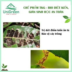 [Combo 3 lọ] THUỐC DIỆT KIẾN, GIÁN - 10ml