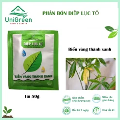 [Combo 3 Túi] Phân Bón Diệp Lục Tố 50gr, Giúp Lá Vàng Thành Xanh