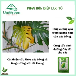 [Combo 3 Túi] Phân Bón Diệp Lục Tố 50gr, Giúp Lá Vàng Thành Xanh