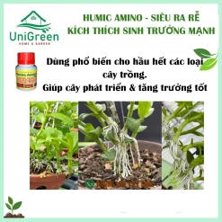 [Combo 3 hũ] Phân bón lá Humic Amino - Siêu ra rễ