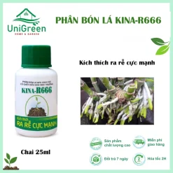 [Combo 3 chai] Phân Bón Lá RINA-R666, Siêu Kích Rễ