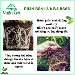 [Combo 3 chai] Phân Bón Lá RINA-R666, Siêu Kích Rễ