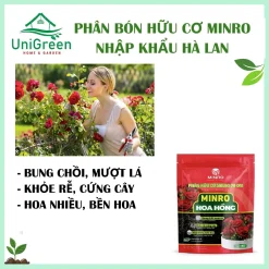 [Túi 1Kg] Phân Bón Hữu Cơ Chuyên Cho Hoa Hồng, NK Hà Lan