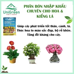 [Combo 5 Túi] Phân Bón MINRO 30-9-9, Trọng Lượng 200gr, Chuyên Cho Kiểng Lá và Hoa