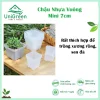 Chậu Nhựa Vuông Mini 7cm Màu Đen & Trong Suốt Trồng Xương Rồng, Sen Đá