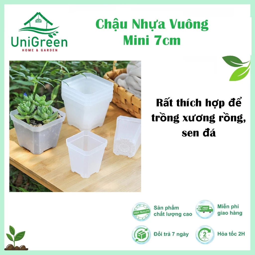 Chậu Nhựa Vuông Mini 7cm Màu Đen & Trong Suốt Trồng Xương Rồng, Sen Đá Chậu Nhựa Vuông Mini 7cm Màu Đen & Trong Suốt Trồng Xương Rồng, Sen Đá