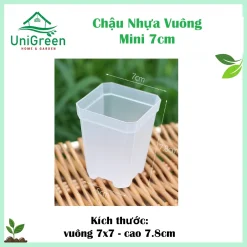 Chậu Nhựa Vuông Mini 7cm Màu Đen & Trong Suốt Trồng Xương Rồng, Sen Đá Chậu Nhựa Vuông Mini 7cm Màu Đen & Trong Suốt Trồng Xương Rồng, Sen Đá