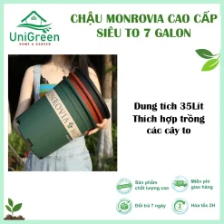 [Chậu 7gallon] Chậu Nhựa Trồng Cây Monrovia Cao Cấp Siêu To
