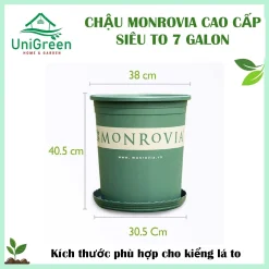 [Chậu 7gallon] Chậu Nhựa Trồng Cây Monrovia Cao Cấp Siêu To