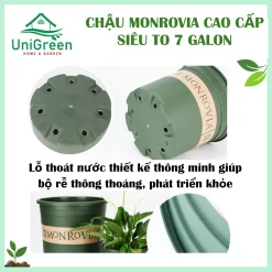 [Chậu 7gallon] Chậu Nhựa Trồng Cây Monrovia Cao Cấp Siêu To