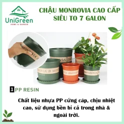 [Chậu 7gallon] Chậu Nhựa Trồng Cây Monrovia Cao Cấp Siêu To