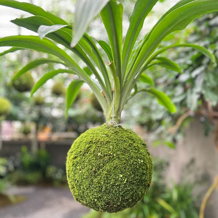 Trang chủ Trang chủ
