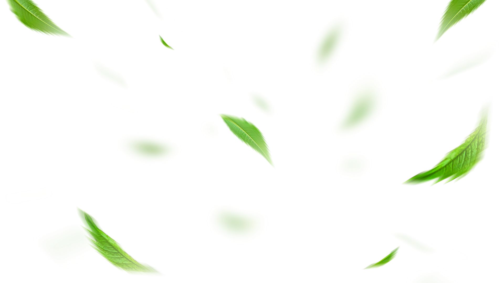 banner cây